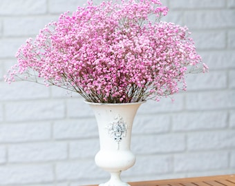 Gypsophila rosa preservada, Aliento de bebé, gypsophila de colores, tallos reales, aliento de bebé natural, aliento de bebé, ramo de novia.