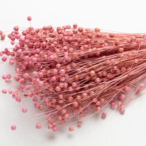 Linum essiccato, lino, colore rosa antico, mazzo di Linum, mazzo di lino essiccato, fiori secchi naturali, fiori secchi, composizioni floreali, decorazioni per la casa