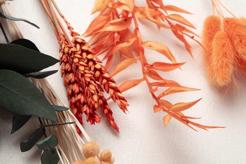 May include: Close-up of dried floral arrangement with orange and green hues. The arrangement features various textures, including fluffy, feathery, and spiky elements. The color palette includes shades of orange, green, and cream, creating a warm and natural aesthetic.