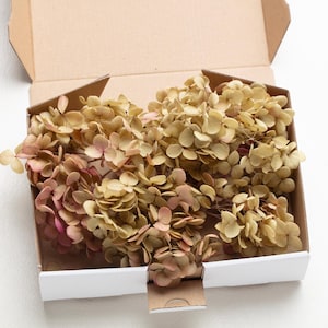 Preserved Hydrangea, natural color, small Hydrangea, High Quality petals, bridal flower, wedding decor, DIY Flowers, Confetti,