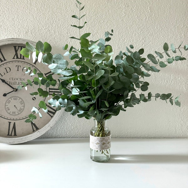 Fresh Eucalyptus Green Stems, High Quality CINEREA, DIY Flower Arrangement, Home Wedding Anniversary Decoration, 10pcs