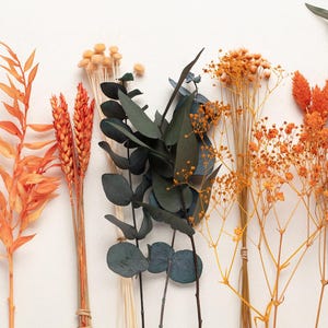 May include: An assortment of dried flowers in shades of orange, green, and beige. The arrangement includes fluffy orange bunny tails, wheat stalks, eucalyptus, and delicate sprigs, all against a white background.