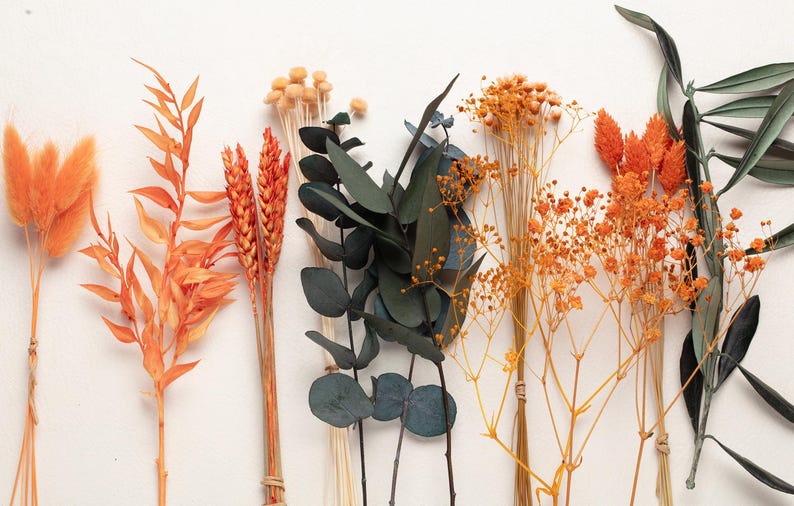 May include: An assortment of dried flowers in shades of orange, green, and beige. The arrangement includes fluffy orange bunny tails, wheat stalks, eucalyptus, and delicate sprigs, all against a white background.