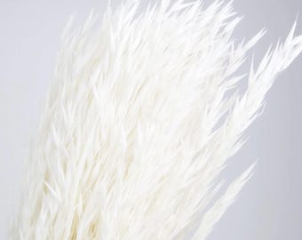 Avena seca, avena blanqueada, tallos, manojo de trigo, granos secos, flores secas, arreglo floral, rústico, campestre, decoración de bodas,