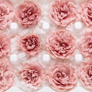 Puede incluir: Vista cenital de una huevera blanca llena de doce rosas de color rosa claro. Las rosas están en plena floración, con múltiples pétalos y un aspecto texturizado. La huevera está llena de papel blanco.
