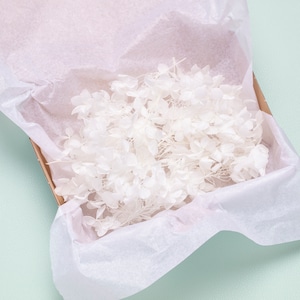 Könnte beinhalten: Eine weiße Box gefüllt mit weißen getrockneten Blumen, verpackt in weißes Seidenpapier.