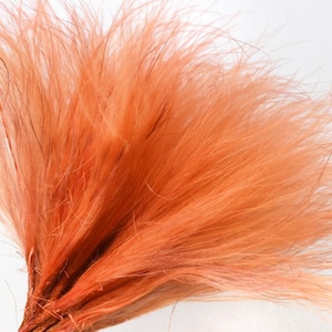 May include: A bunch of dried orange pampas grass with long, feathery plumes.