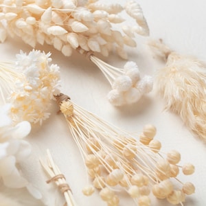 Puede incluir: Una colecci&oacute;n de elementos bot&aacute;nicos secos que incluye phalaris de color crema, peque&ntilde;as flores blancas en forma de estrella, pompones blancos esponjosos y c&aacute;psulas de semillas de lino beige. Cada manojo est&aacute; atado con cuerda natural fina.