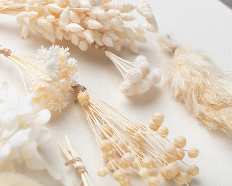Puede incluir: Una colecci&oacute;n de elementos bot&aacute;nicos secos que incluye phalaris de color crema, peque&ntilde;as flores blancas en forma de estrella, pompones blancos esponjosos y c&aacute;psulas de semillas de lino beige. Cada manojo est&aacute; atado con cuerda natural fina.