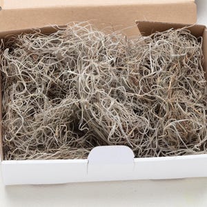 Usnea Lichen, Usnea barbata, Whole, Wild Crafted, Old Man&#39;s Beard, Moss, Herbal, Herbal Tea, 100% Natural, DIY craft,