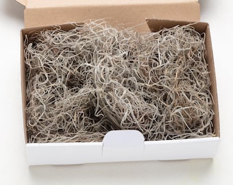 Usnea Lichen, Usnea barbata, Whole, Wild Crafted, Old Man's Beard, Moss, Herbal, Herbal Tea, 100% Natural, DIY craft,