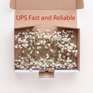 Baby breath, white preserved gypsophila, 1 box mini remains stems, natural baby&#39;s breath, baby breath, baby breath, dry wedding bouque