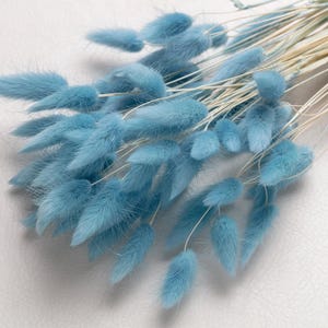 May include: A bunch of light blue dried bunny tail grass. The stems are white and the fluffy tips are a soft blue colour.