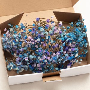 Baby adem, geconserveerde bloemen, blauw lila kleur, gipskruid, natuurlijke ademstelen, baby adem, baby adem, voor droog bruidsboeket
