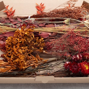 Könnte beinhalten: Ein Pappkarton gefüllt mit einer Auswahl an getrockneten botanischen Elementen, darunter orangefarbene Hortensienbüschel, rote Strohblumen, dünne braune Gräser, rotbraune Eukalyptusblätter und verschiedene getrocknete Zweige in warmen Herbsttönen.