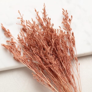 Peut inclure: Gros plan sur un bouquet d'herbes ornementales séchées, de couleur brun rougeâtre. Les tiges plumeuses et les épis sont disposés sur une surface en marbre blanc. Idéal pour la décoration intérieure ou les projets créatifs.