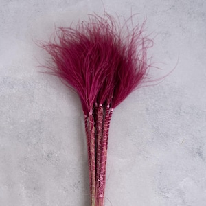 May include: A bunch of magenta-coloured decorative grass. The stems are bound with a patterned, light pink and white thread. The feathery tips of the grass are a deep, rich shade of magenta, creating a striking visual contrast against the grey background.
