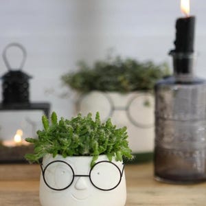 Könnte beinhalten: Ein weißer Keramik-Pflanztopf mit Gesichtsdesign, runden schwarzen Brillen und einem lächelnden Mund, gefüllt mit grünen Sukkulenten. Der Topf hat einen grünen Sockel und gehört zu einem Einrichtungs-Thema.