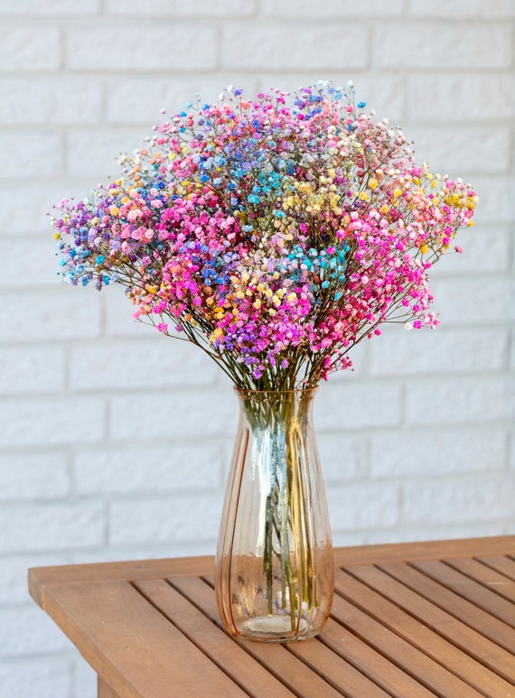 GYPSOPHILA - ♡gypsohila♡ gypsophila-white-force-