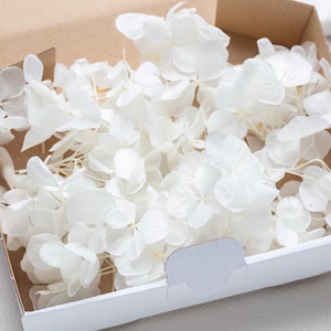 Preserved Hydrangea, Stabilized flowers, White Hydrangea, High Quality, Creamy white, Preserved bridal flower, dried flowers wedding decor,