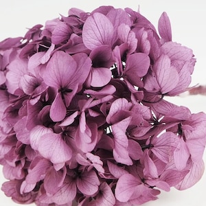 Preserved Hydrangea Lila, High Quality, Purple, Preserved bridal flower, dried flowers wedding decor,