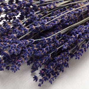 Lavendel gedroogd, Set gedroogde bloemen, Decoratie, Bruiloft, Woondecoratie, Herfstdecoratie, Advent, Krans, Lavendel gedroogd in een bos