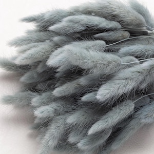 Lagurus, gray Bunny Tails, Bleached Dried Lagurus, Dried Grass, Rabbit Tails Bunch, gray Decor, green Bridal, Bouquet, Centerpiece,