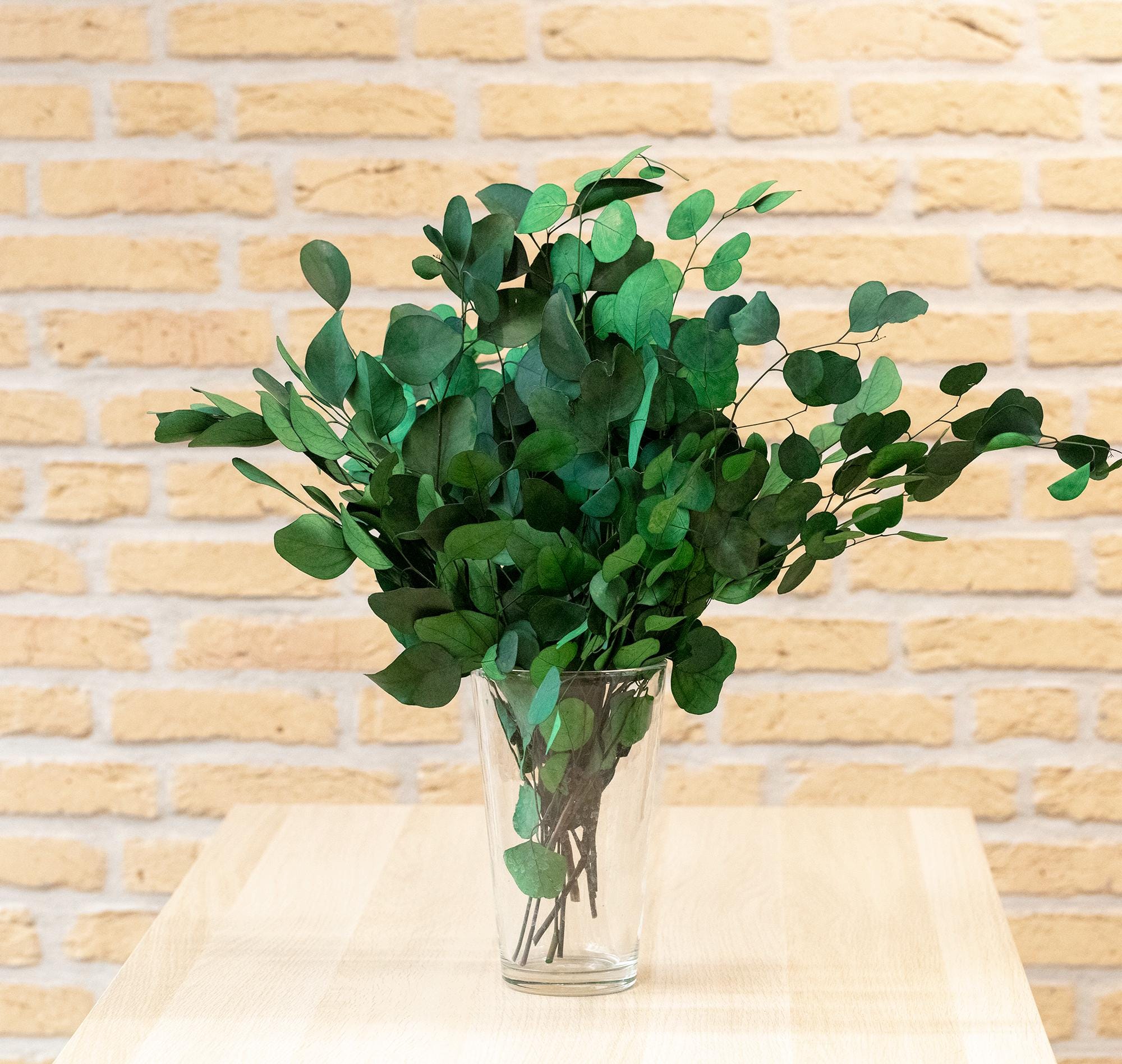 Eucalyptus preserved, bunch, DIY flower arrangement, wedding anniversary decoration, 100% biodegradable natural, Stabilized