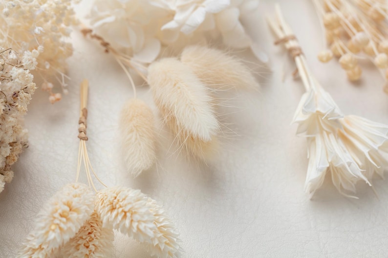 Puede incluir: Una colecci&oacute;n de elementos bot&aacute;nicos secos que incluye hierba de cola de conejo de color crema, p&eacute;talos de hortensia blancos preservados y peque&ntilde;os ramos de flores secas atados con un cordel fino de fibra natural.