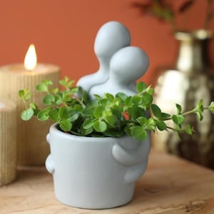 May include: A pale grey ceramic plant pot in the shape of two figures embracing, filled with green foliage. The pot is on a wooden surface, with a lit candle and a gold vase in the background.