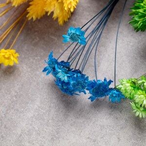 以下が含まれることがあります： 鮮やかな黄色、鮮やかな青、そして明るい緑色の花房が特徴のドライフラワーのコレクション。それぞれの花は細くしなやかな茎に取り付けられており、色鮮やかで保存された植物要素の繊細なアレンジメントを作り出しています。