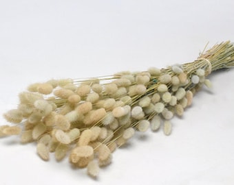 Rabos de coelho naturais, Lagurus secos, Grama seca, Buquê de rabos de coelho, Decoração de casamento, Flores de noiva, Buquê, Centro de mesa,