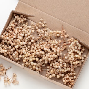 Pepper tree, natural pepper berry stems, dried flowers, Dried Berries, Dried autumn Berries for Resin, Art Crafts, Jewellery, Epoxy, Candle