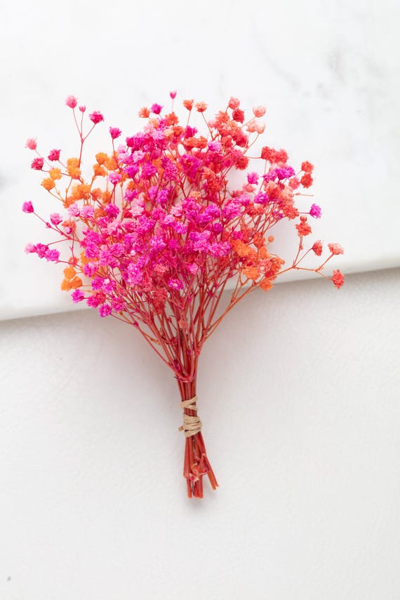 Schleierkraut, rosa- orange Farbe, konserviertes Schleierkraut, Mini Stiele, natürliches Schleierkraut, Schleierkraut, Schleierkraut, konserviertes Schleierkraut