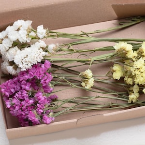 Statice essiccato, mix fai da te di fiori, set fai da te, scatola di fiori, fai da te per matrimoni, bouquet di fiori secchi, erba della pampa, lagurus, phalaris, progetti creativi,