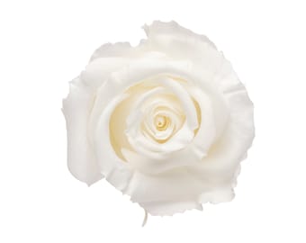 Rose stabilisée, boutonnière de mariage, préservation des roses, rose rouge séchée, fleur éternelle de l'infini, bouquet de mariage, garnitures de gâteau d'anniversaire,