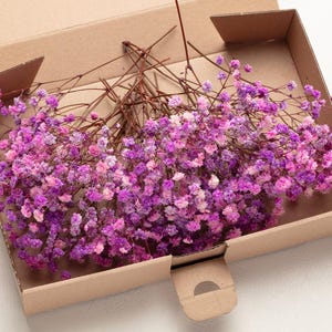 Baby adem, geconserveerde bloemen, roze lila kleur, gipskruid, natuurlijke ademstelen, baby adem, baby adem, voor droog bruidsboeket