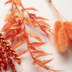 May include: Close-up of dried orange and red floral elements. The image features various dried plants, including feathery orange bunny tails, and branches with orange and red leaves. These elements are arranged against a white background.