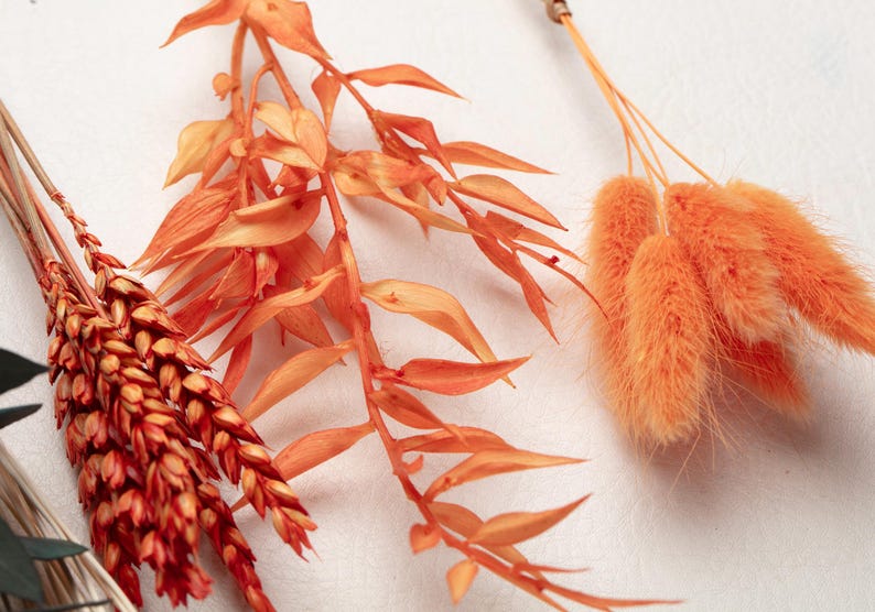 May include: Close-up of dried orange and red floral elements. The image features various dried plants, including feathery orange bunny tails, and branches with orange and red leaves. These elements are arranged against a white background.