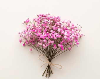 15 mini stems Baby's Breath, Gypsophila Preserved Pink Color, Dried Flowers, Dried Plants, DIY Flower Arrangements, Pink Babys Breath