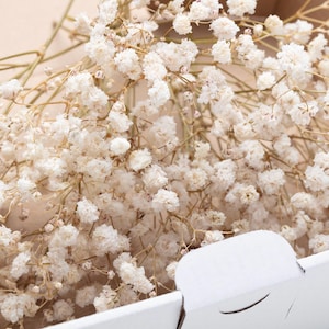 Baby breath, preserved flowers, beige color preserved gypsophila, natural baby's breath stems, baby breath, baby breath, dry wedding Bouquet