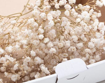 paniculata, flores preservadas, gypsophila preservada de color beige, tallos naturales de paniculata, paniculata, paniculata, ramo de novia seco
