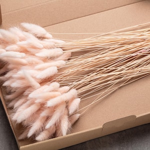 May include: A box filled with a large bundle of dried pampas grass with fluffy, light pink plumes.