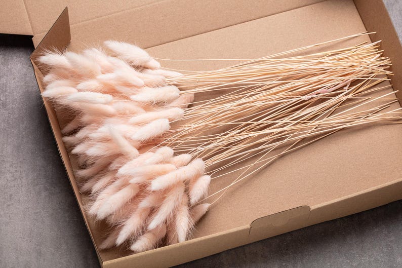 May include: A box filled with a large bundle of dried pampas grass with fluffy, light pink plumes.