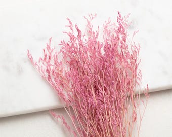 Könnte beinhalten: Ein Bündel getrockneter rosa Blüten, möglicherweise Statice, auf einer weißen Marmoroberfläche. Die Blüten haben zarte, federartige Texturen und eine lebendige Farbe. Die Komposition ist einfach, wobei die Blüten im Mittelpunkt stehen.