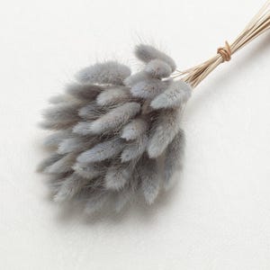 Bunny Tails, grey color, Dried Lagurus, Dried Grass, Rabbit Tails, Decor, Bouquet, Natural Fluff, Gift, Home Decor, Dried Flowers, Boho