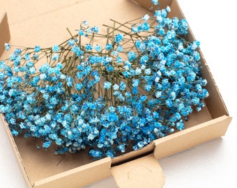 Baby breath, blue preserved gypsophila, 1 box mini stems, natural baby's breath, baby breath, baby breath, dry wedding Bouquet