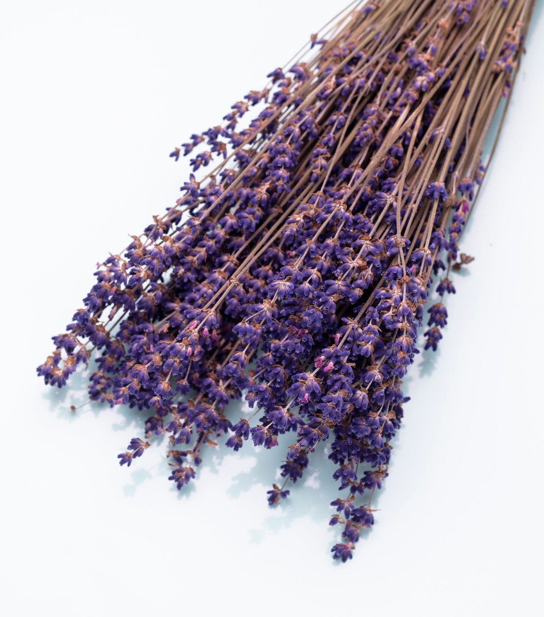 Dried Lavender Dried Flower Bouquet Dried Lavanda Dried Etsy