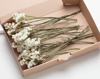 May include: A box filled with dried white flowers with green stems. The flowers are arranged in a bouquet and are ready to be used in a craft project.