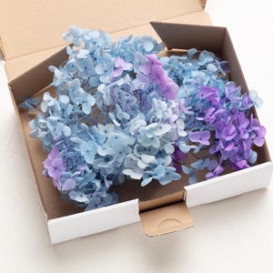 Könnte beinhalten: Eine offene Pappschachtel gefüllt mit getrockneten Hortensienblüten. Die Blüten sind in Blau-, Lila- und Lavendeltönen gehalten. Die Schachtel hat weiße Kanten und einen natürlichen braunen Innenraum.